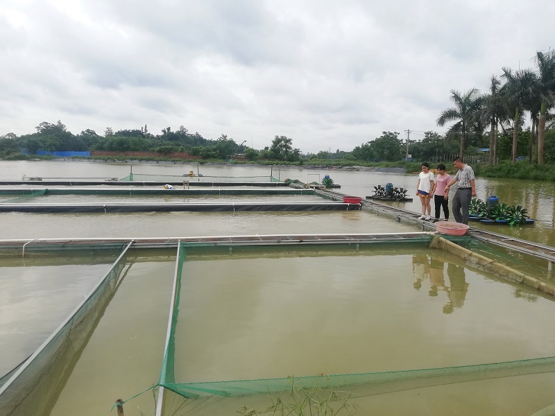 余氯分析儀可提前預防養殖風險