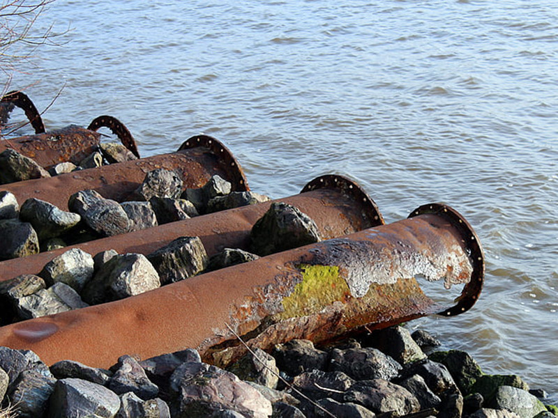 水質生物毒性在線分析儀具備哪些特點？