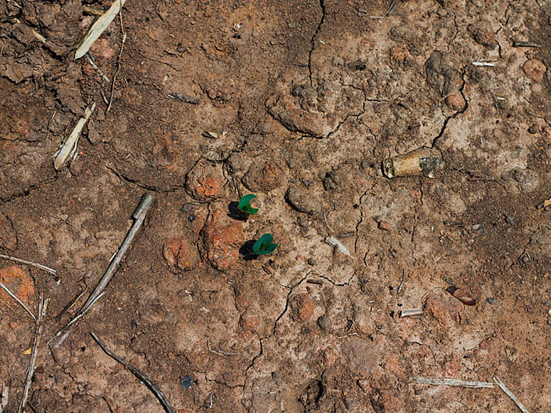 手持式土壤重金屬分析儀準確度高 手持式土壤重金屬分析儀準確度高