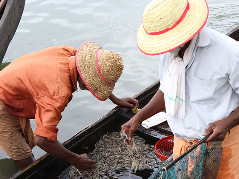 水產養殖業檢測水質的儀器是哪款？