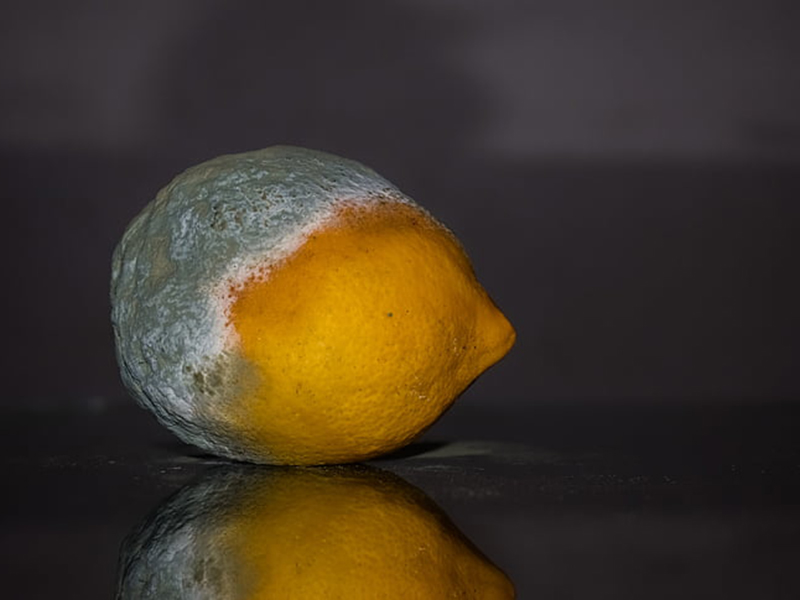 食品中常見的真菌毒素有哪些 食品中常見的真菌毒素有哪些