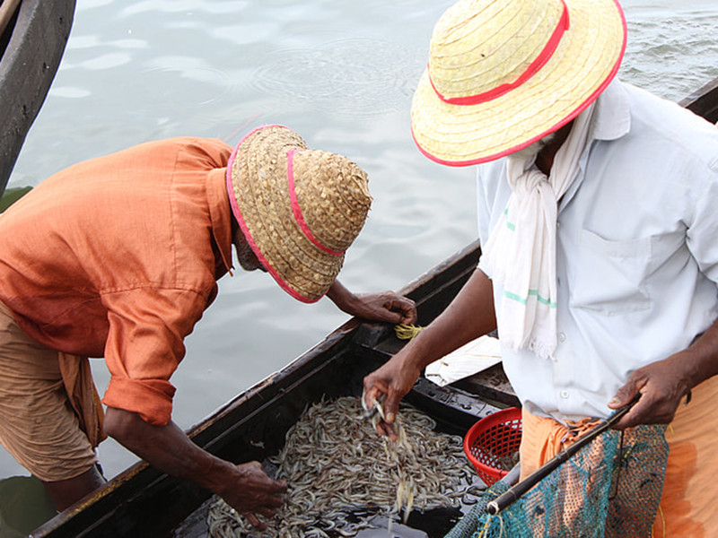 余氯檢測儀對水產養殖有什么幫助?