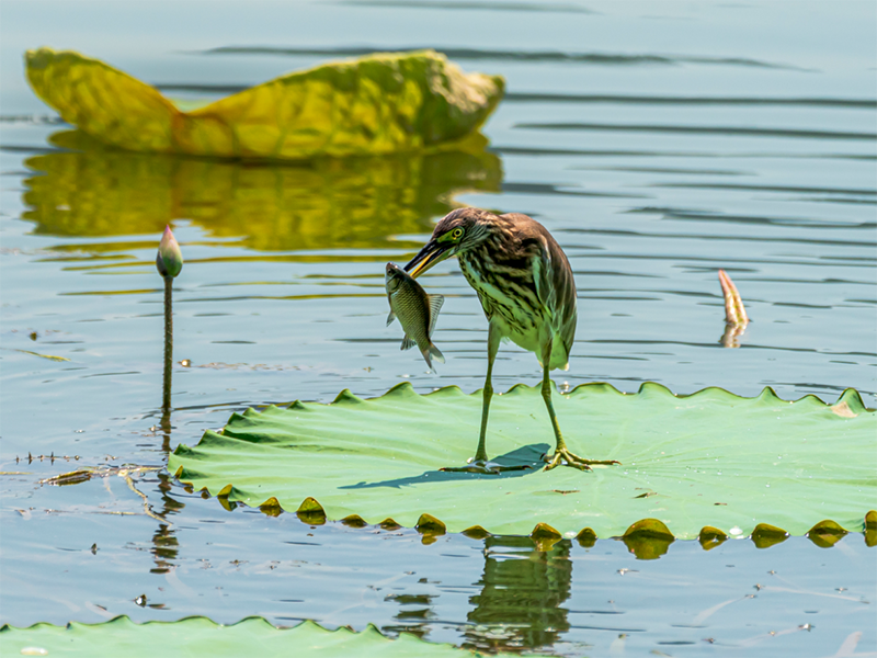 水質檢測儀器 水質檢測儀器