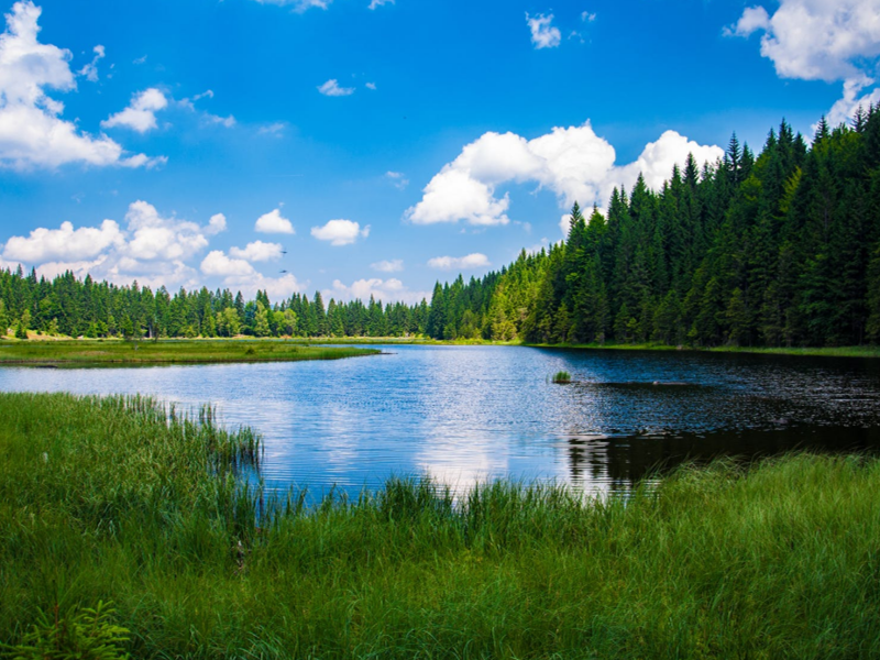 COD水質(zhì)檢測儀