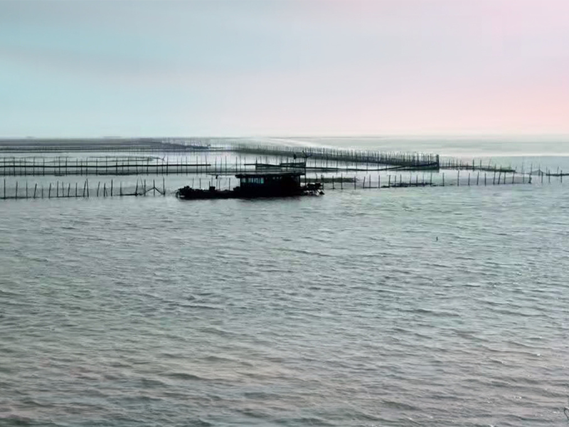 養魚水質檢測項目