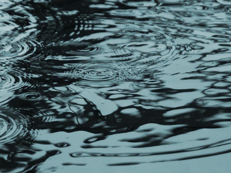 水質生物毒性檢測技術介紹 水質生物毒性檢測技術介紹