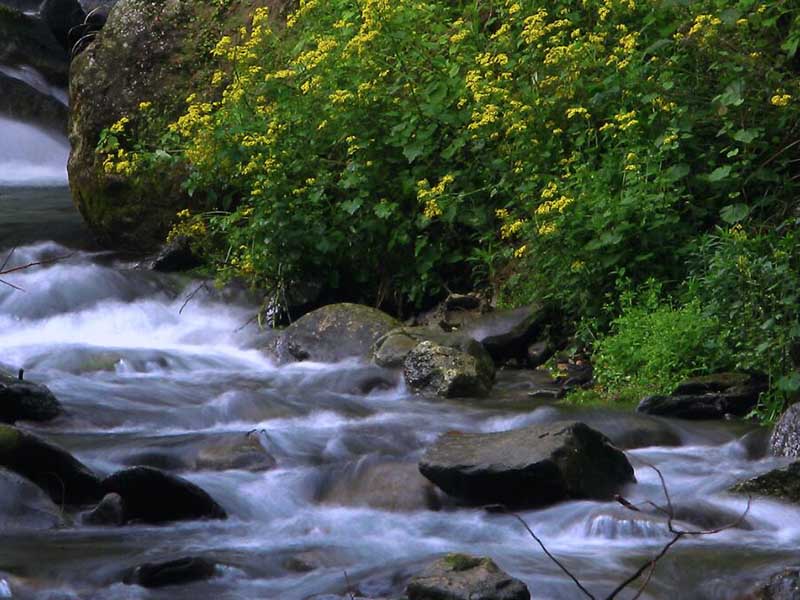 最新地表水水質監測數據統計