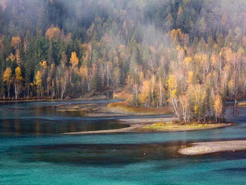 COD氨氮總磷測定儀檢測標準 COD氨氮總磷測定儀檢測標準