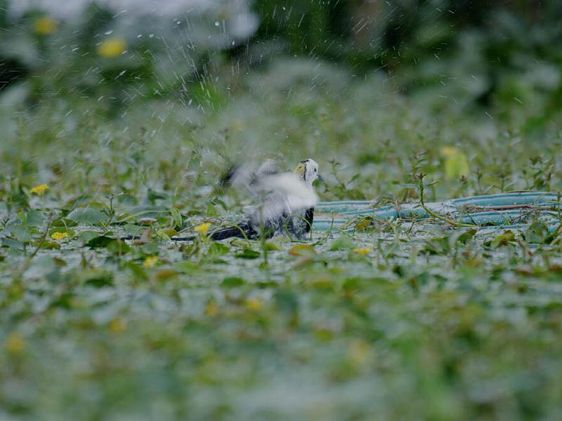 總氮水質在線自動監測儀原理 總氮水質在線自動監測儀原理