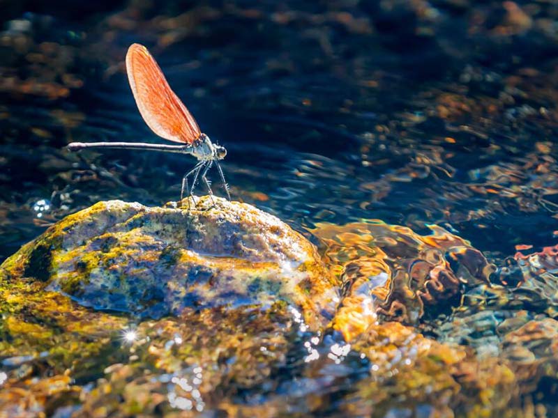 水質總磷快速測定儀如何操作 水質總磷快速測定儀如何操作