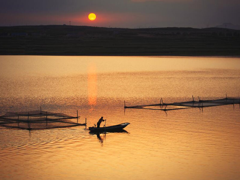 水產養殖水質分析儀可以檢測哪些項目