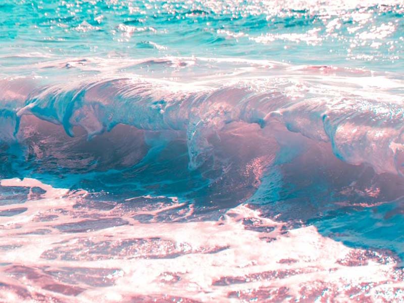 為什么要檢測水質(zhì)總大腸菌群