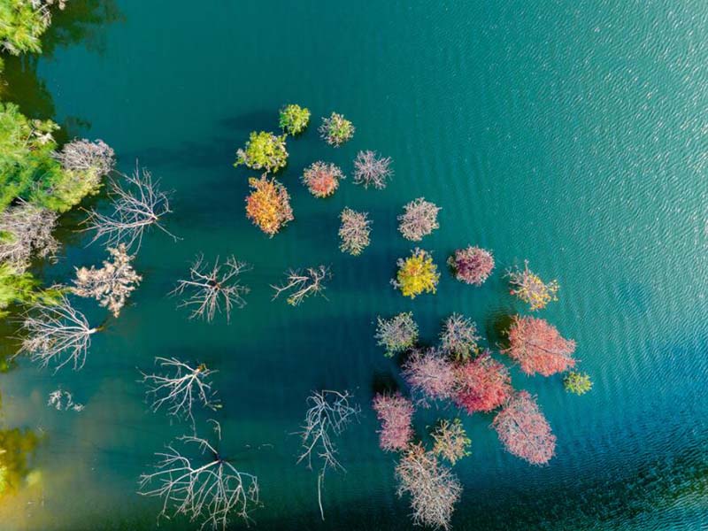 污水出水色度為什么不達(dá)標(biāo)