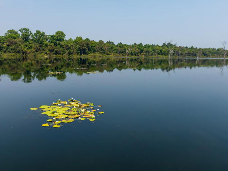 水產(chǎn)養(yǎng)殖水質(zhì)標(biāo)準(zhǔn)參數(shù)