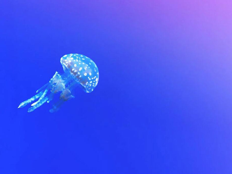 水質六價鉻測定儀原理