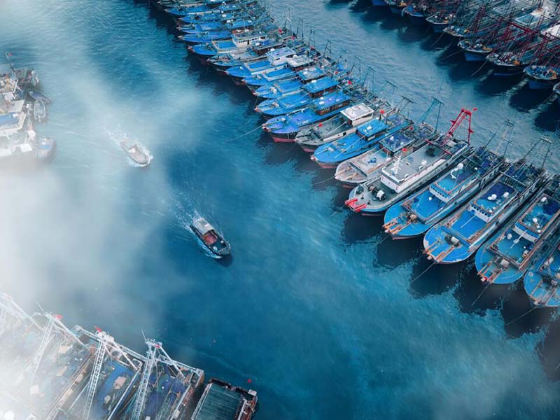 池塘氨氮來(lái)源及危害