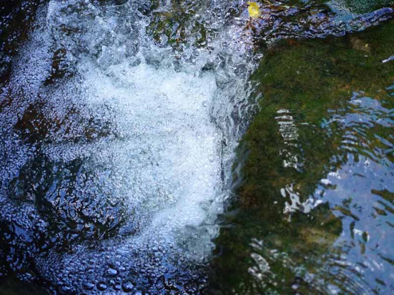 地下水動植物油監測方法及標準