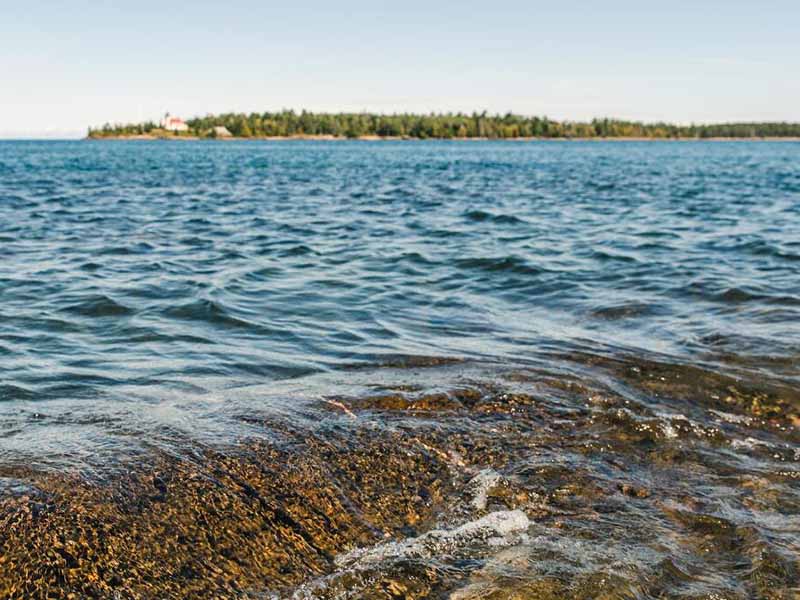 BOD超標對水質有什么影響