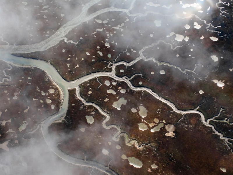 溶解氧對水生生物的重要性(溶解氧的作用)