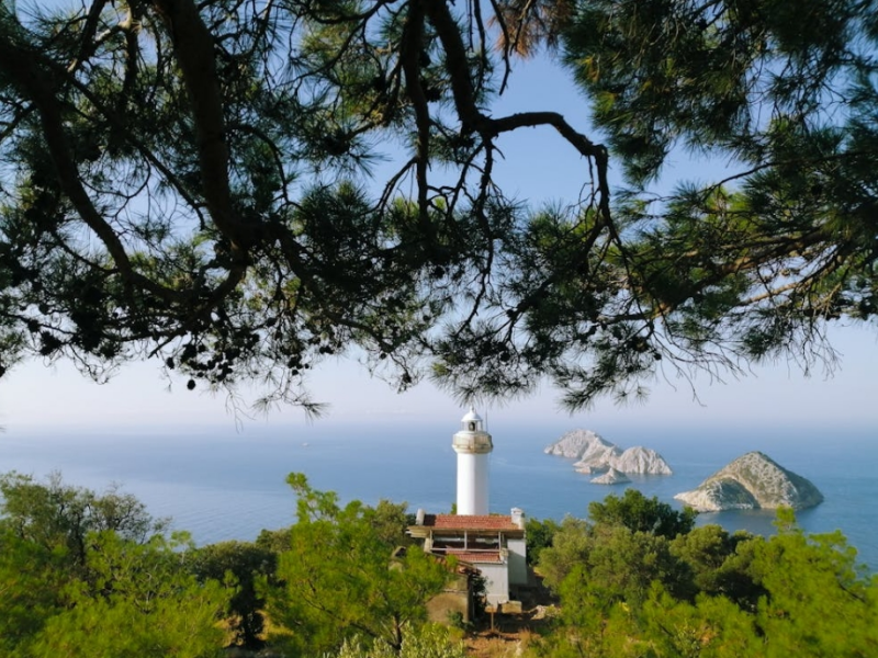 水體葉綠素檢測有什么意義（水質葉綠素檢測儀使用方法）