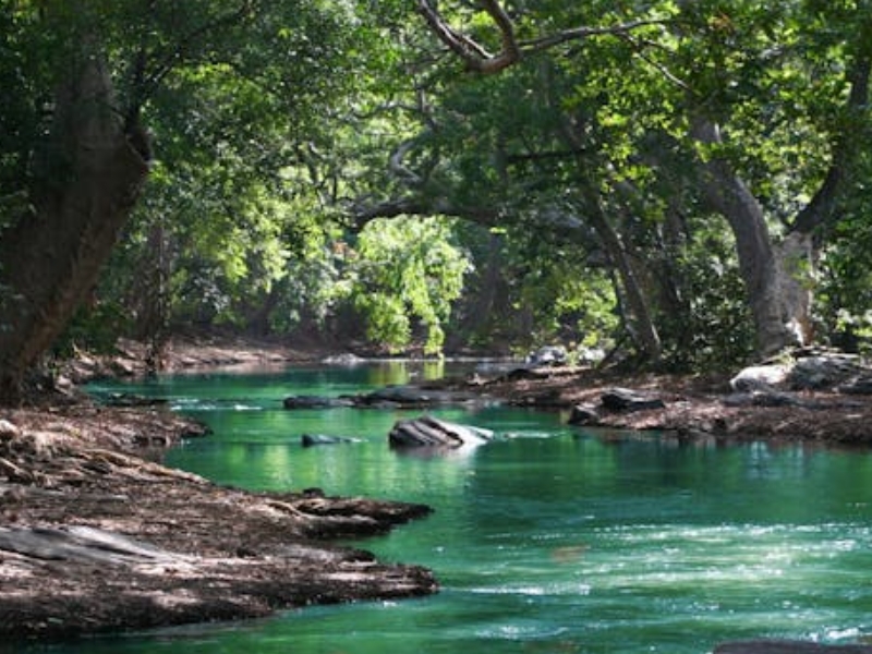 水中氨氮含量高說明什么(減少氨氮排放的措施)