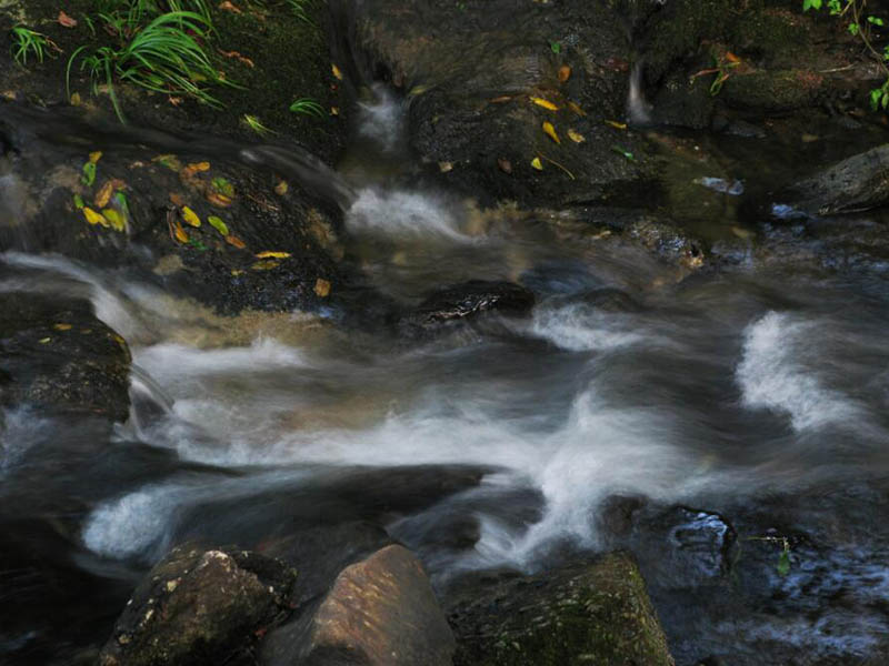 BOD測定儀的使用方法（BOD測定儀維護與保養）