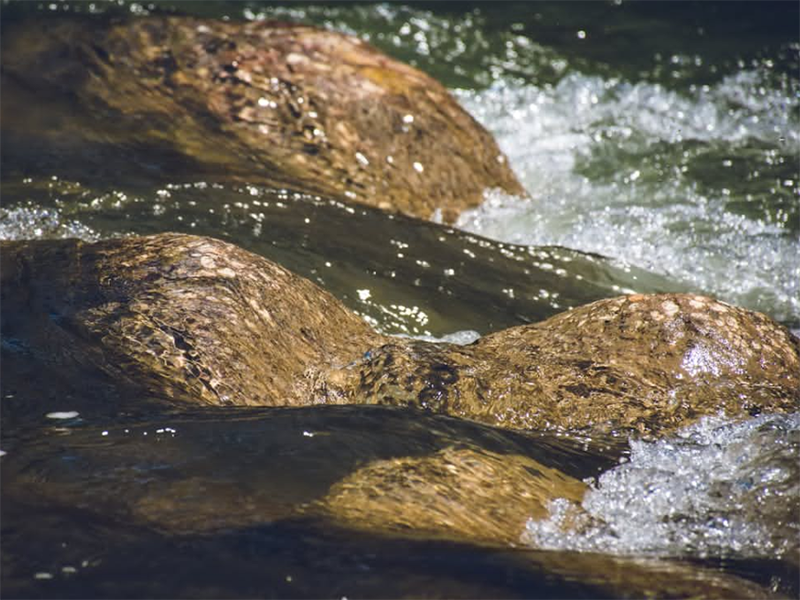 CODcr檢測(cè)儀設(shè)計(jì)依據(jù)