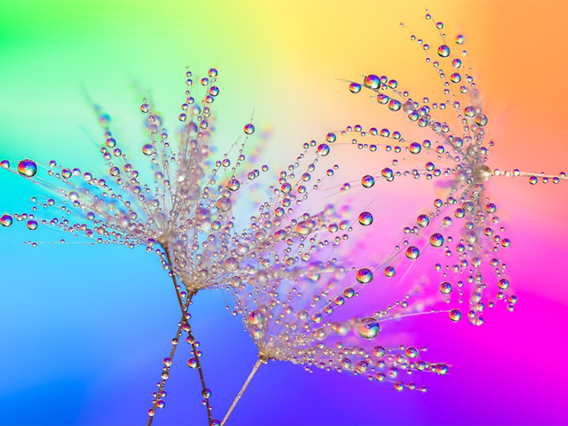 生活飲用水硝酸鹽標準值（水質硝酸鹽檢測國標）