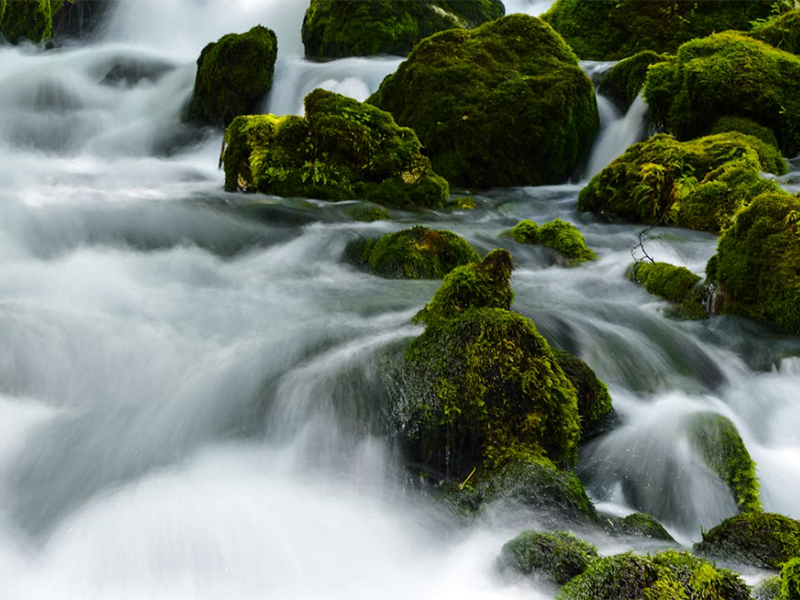 氨氮快速檢測儀需要具備哪些功能(氨氮快速檢測儀功能介紹)