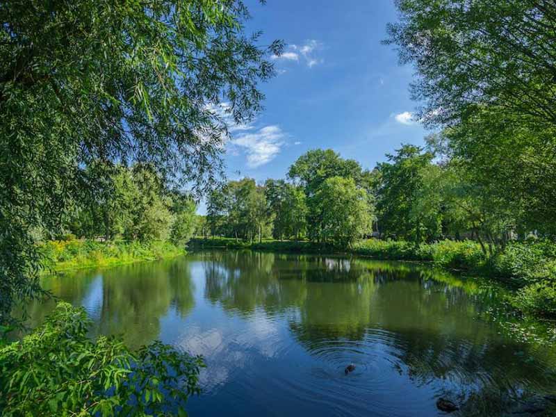 水體富營養化有哪些危害（水體富營養化治理措施）