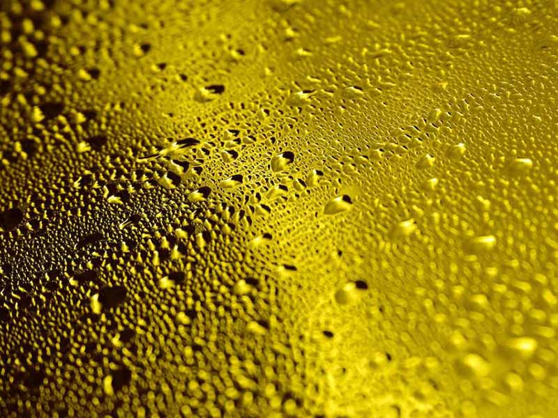 食用油酸價檢測儀功能特點(食用油酸價檢測儀說明書)