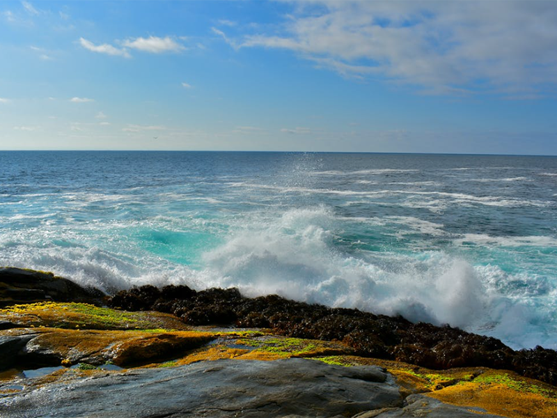 pH計(jì)的校準(zhǔn)步驟及常見問題(pH計(jì)使用注意事項(xiàng))