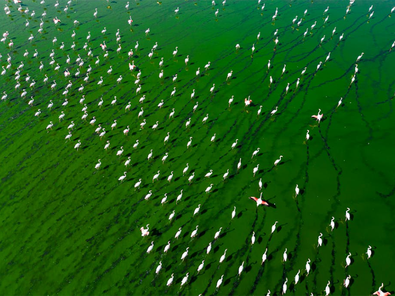 氨氮總氮檢測儀類型(氨氮總氮檢測儀適用場景)