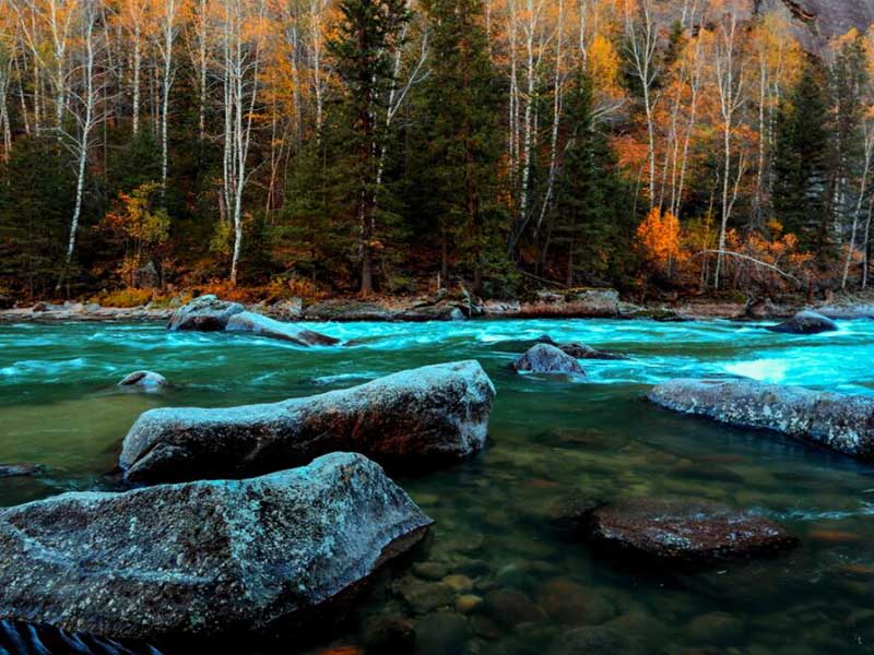氨氮測定儀基本工作原理(氨氮測定儀類型)