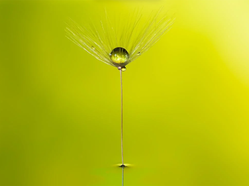 在線氨氮分析儀檢定規程(在線氨氮分析儀安裝、使用及維護)