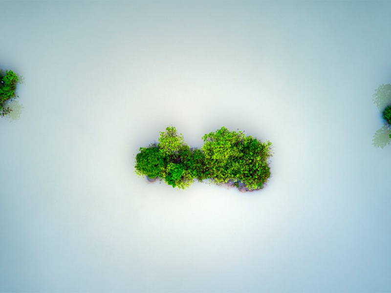 如何正確保養(yǎng)COD快速測(cè)定儀（COD快速測(cè)定儀操作指南）