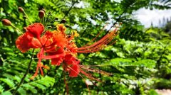 土壤有機(jī)質(zhì)檢測(cè)儀有什么作用？