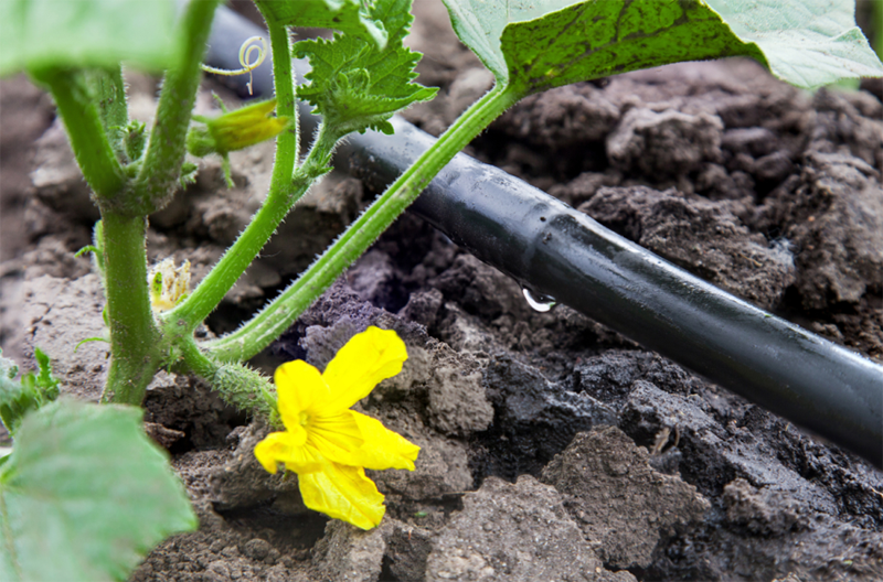 土壤水分測定儀 土壤水分測定儀