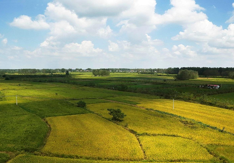 土壤水分測定儀