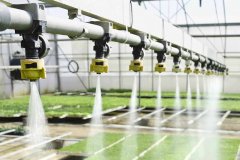 土壤含水量測試儀?監控土壤濕度