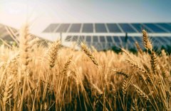 土壤養分分析儀促進農業進步