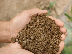 測試土壤以提高農產品產量