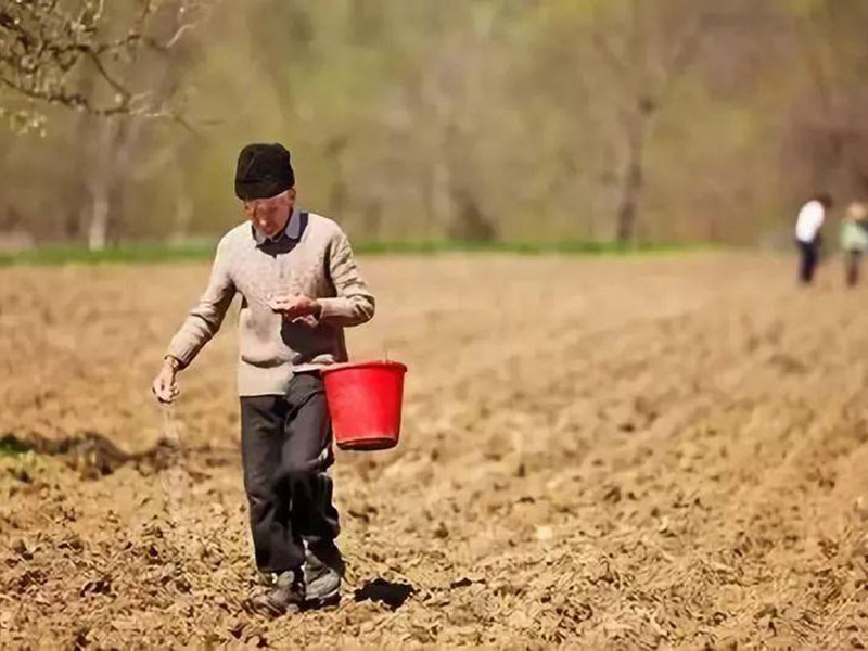 土壤養分檢測儀好不好用 9.jpg