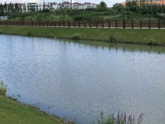 雷達流速儀,可用于河道、灌渠流量測量