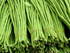 豆角中含有滅蠅胺?怎么解決?