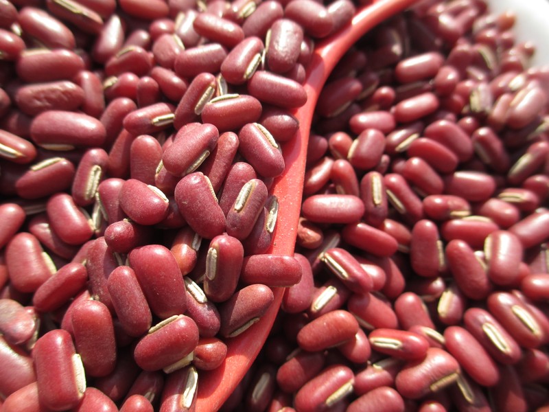 紅豆的產量多少，施肥是關鍵