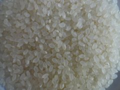 大米重金屬鎘檢測儀,可對樣品進行快速檢測