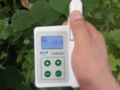 怎樣檢測活體植物的葉綠素含量?