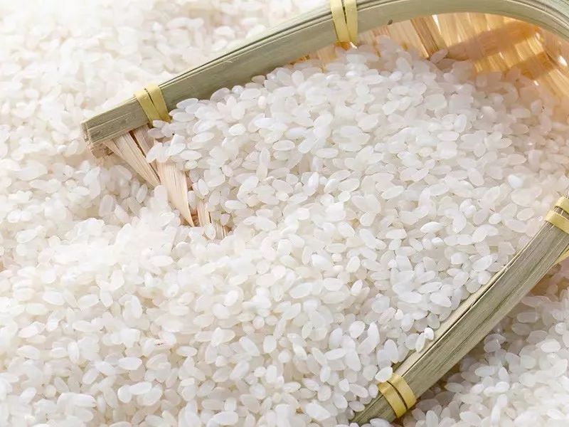 大米重金屬鎘檢測儀,可實(shí)現(xiàn)重金屬的快速定量檢測分析 大米重金屬鎘檢測儀,可實(shí)現(xiàn)重金屬的快速定量檢測分析